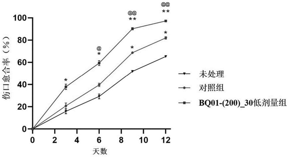 一种菊花萃取物及其在制备用于抑制发炎反应和促进伤口愈合的医药组合物中的用途的制作方法