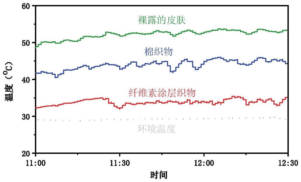 纤维素涂层改性的疏水性日间辐射降温织物及其制备方法