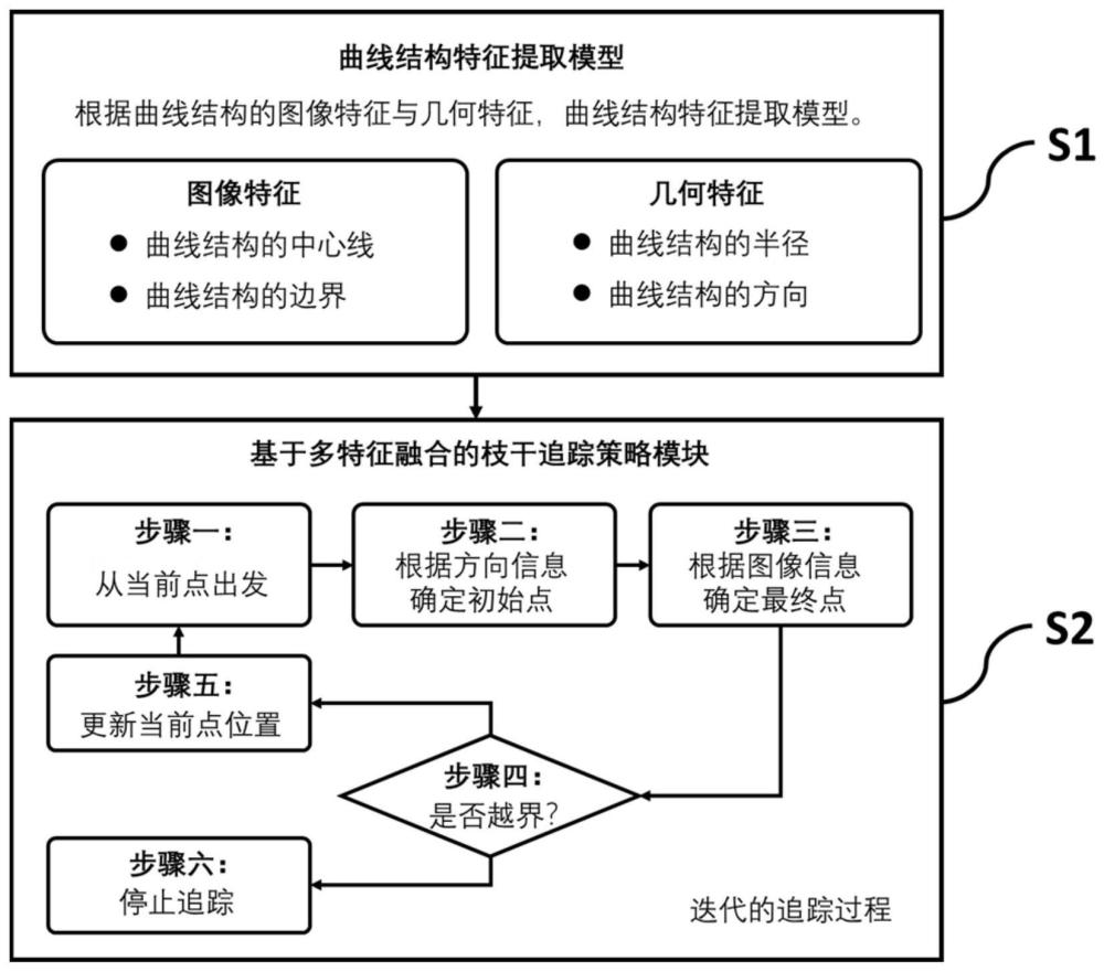 一种图像中曲线结构追踪与重建模型及应用