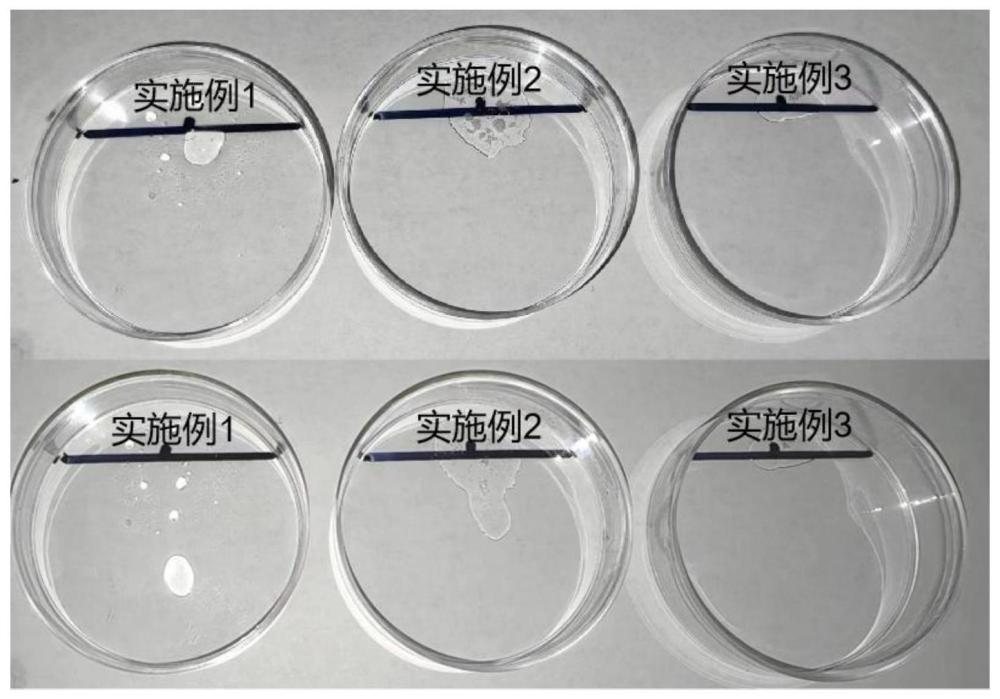 一种即用型喷雾抗菌剂组合物及其制备方法与应用与流程