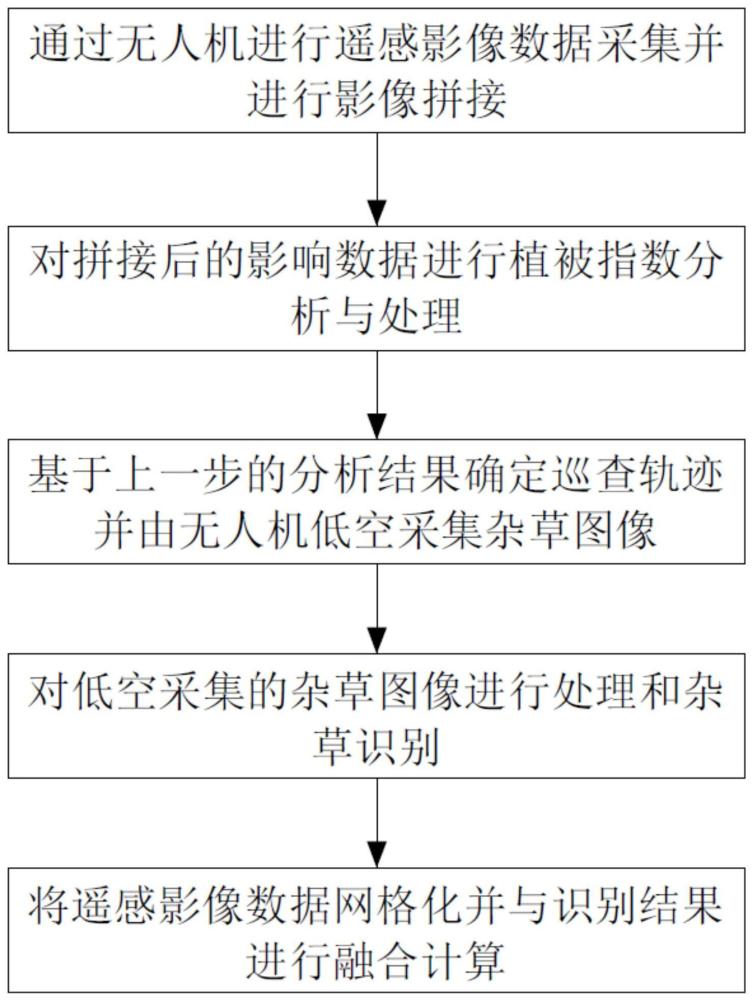 一种大面积杂草分布检测方法与流程