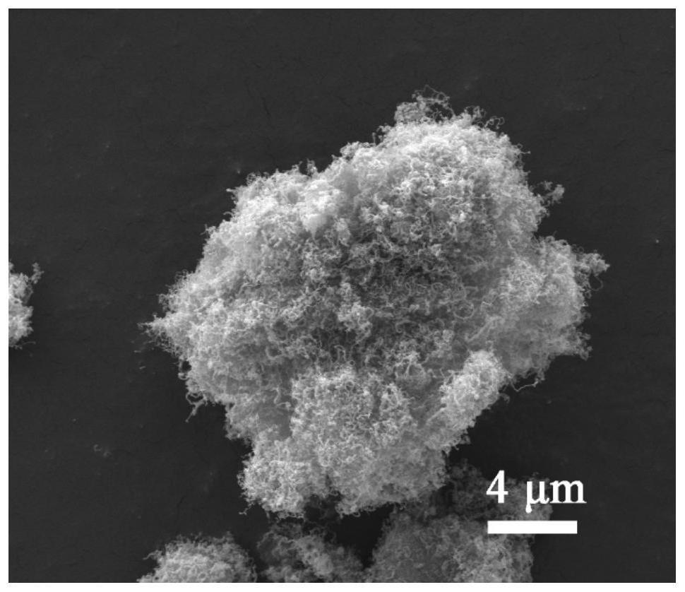 碳酸钙-碳纳米管共包覆的镁钙质耐火材料及其制备方法