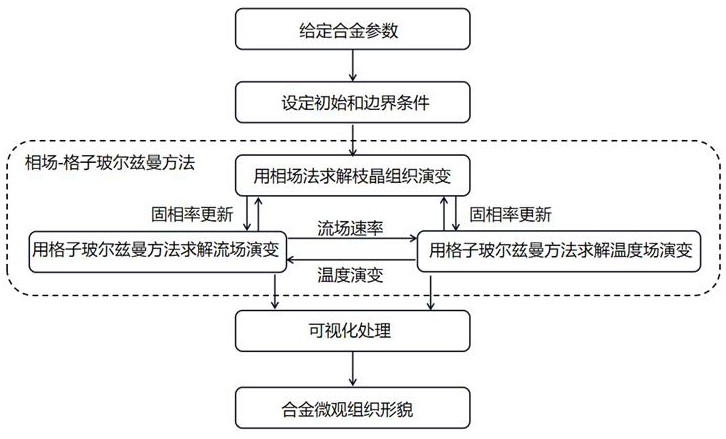 一种多场耦合条件下模拟枝晶生长的方法与流程