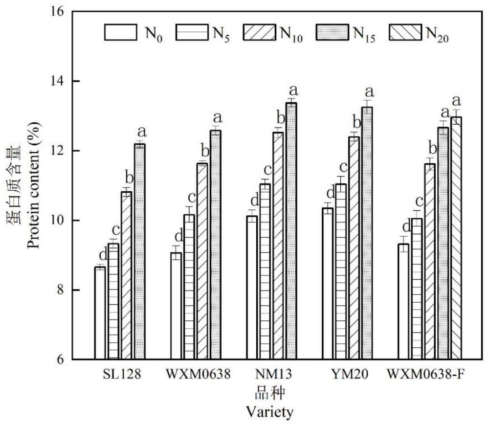 一种小麦冠层光谱指数预测籽粒蛋白质含量的方法