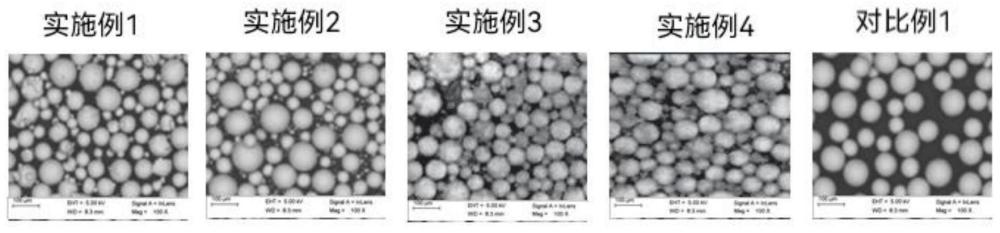 一种蛹虫草复合核桃蛋白健康调理品及其制备方法