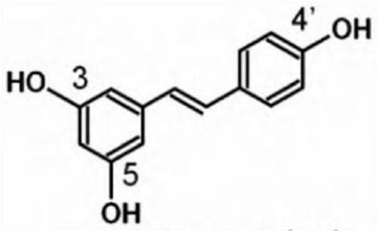 白藜芦醇在制备抗鸡球虫病饲料添加剂中的应用