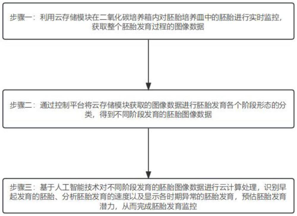 一种基于人工智能的胚胎发育监控方法与流程