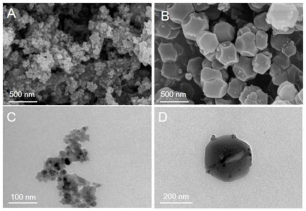 基于Fe3O4@ZIF-67复合纳米酶的标记型化学发光成像免疫阵列传感器的制作方法