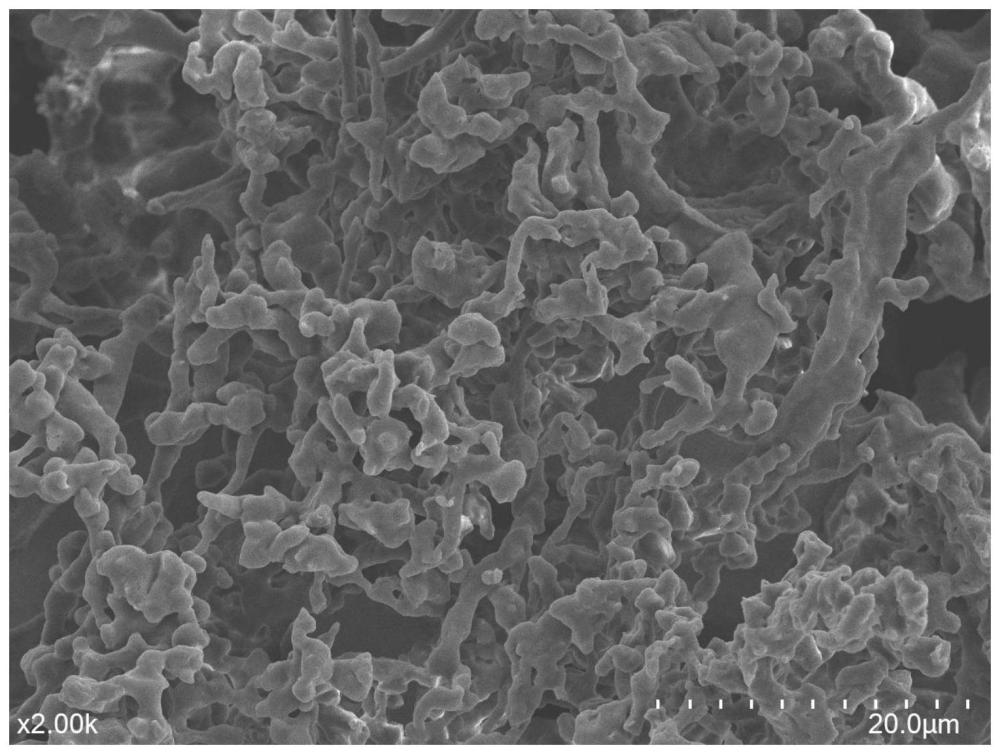一种负载ZIF-8纳米颗粒的纤维素阻隔膜及其制备方法