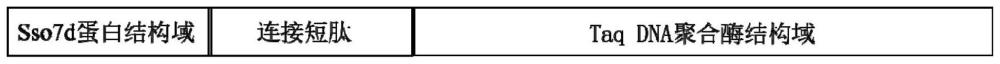 Sso7d-Taq DNA聚合酶融合蛋白及其应用的制作方法