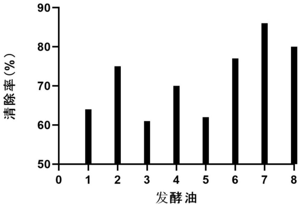 一种牡丹籽复合发酵油的制备方法与流程