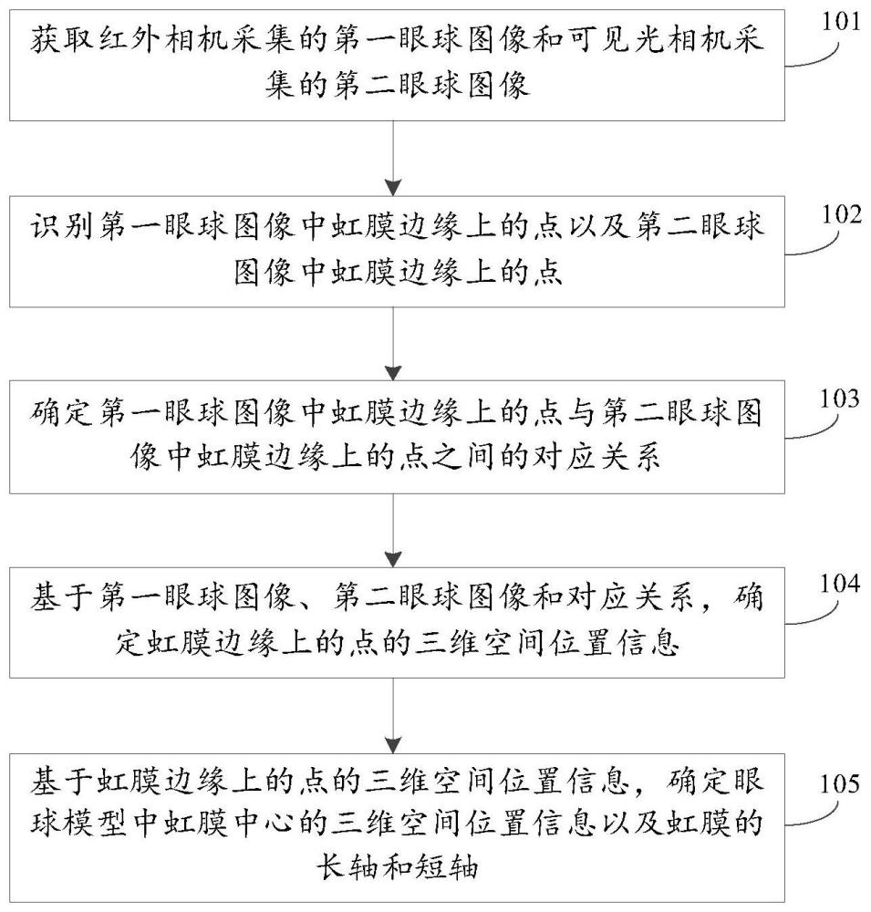 一种眼球模型的确定方法、装置及电子设备与流程