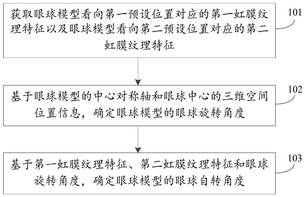 一种眼球自转角度的确定方法、装置、设备及存储介质与流程