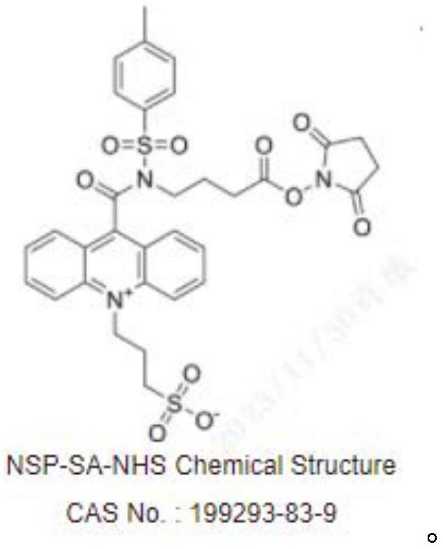 一种吖啶酯标记孕酮小分子衍生物的方法与流程
