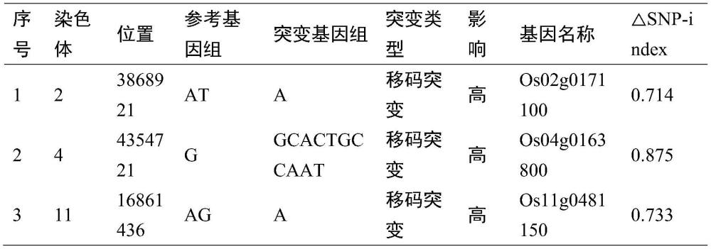 水稻雄性育性控制基因GMS5、其突变体及分子鉴定方法和应用与流程