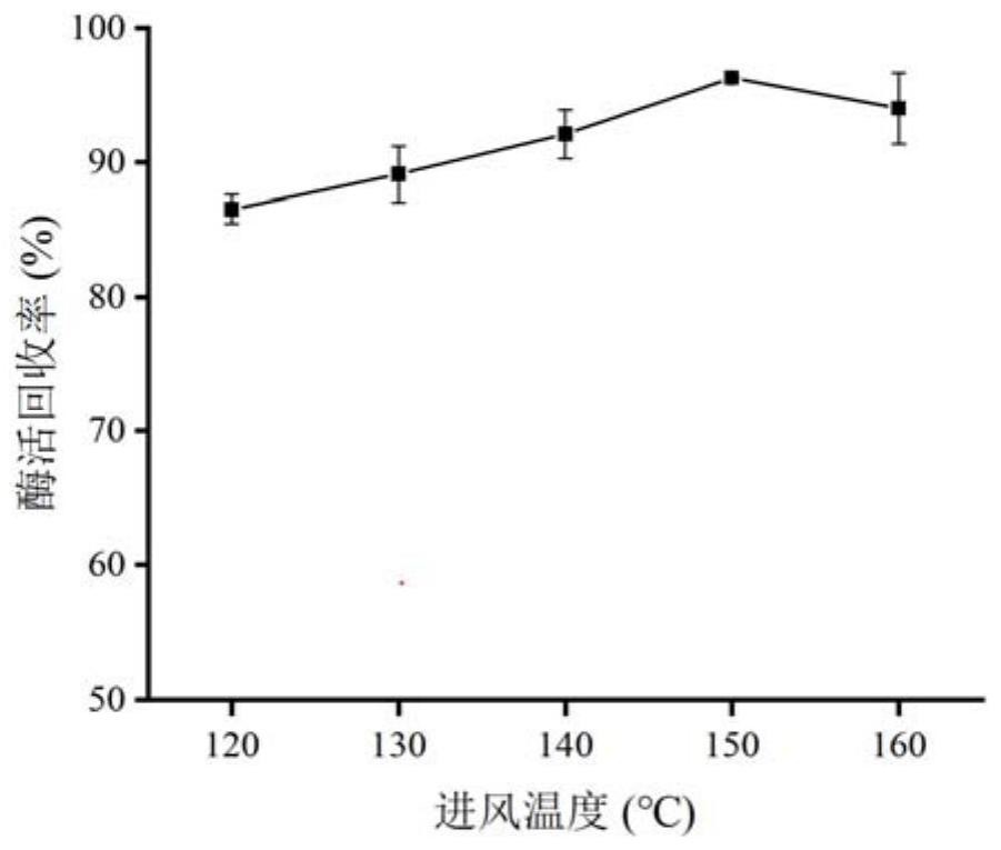 一种淀粉分支酶干粉制剂的制备方法