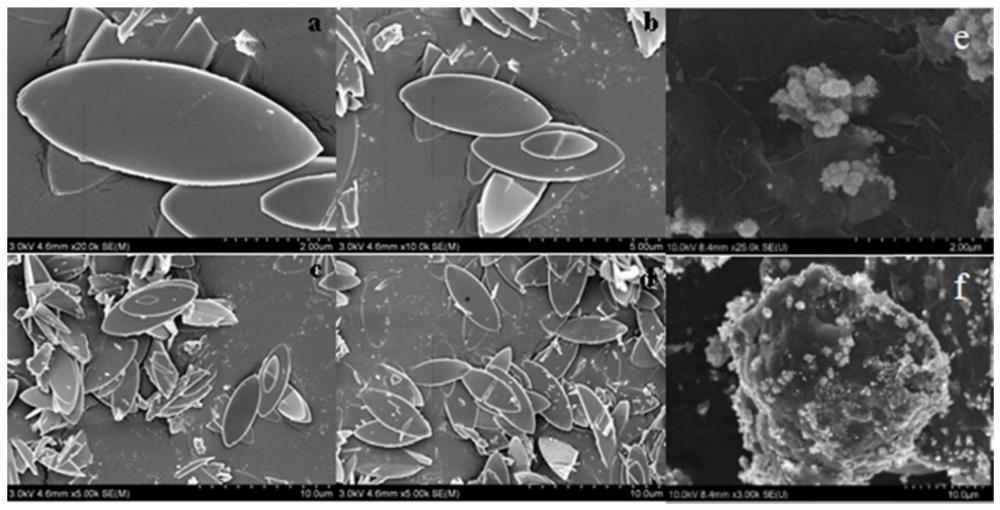 含石墨烯银纳米粒子的复合保鲜膜、其制备方法及应用