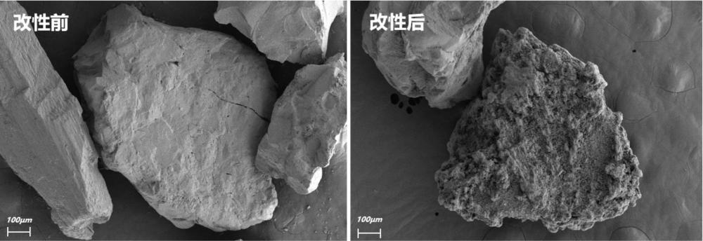 钙基菱铁矿及其制备方法和用途与流程