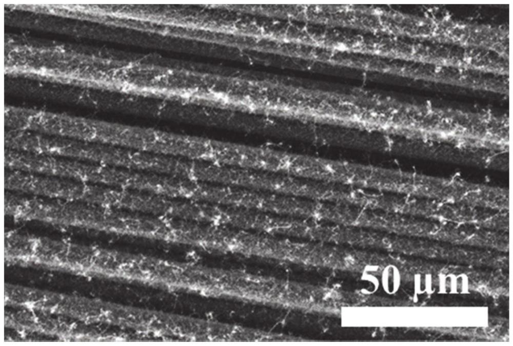 一种碳化硅纳米铲刀接枝碳纤维、碳纤维复合材料及制备方法