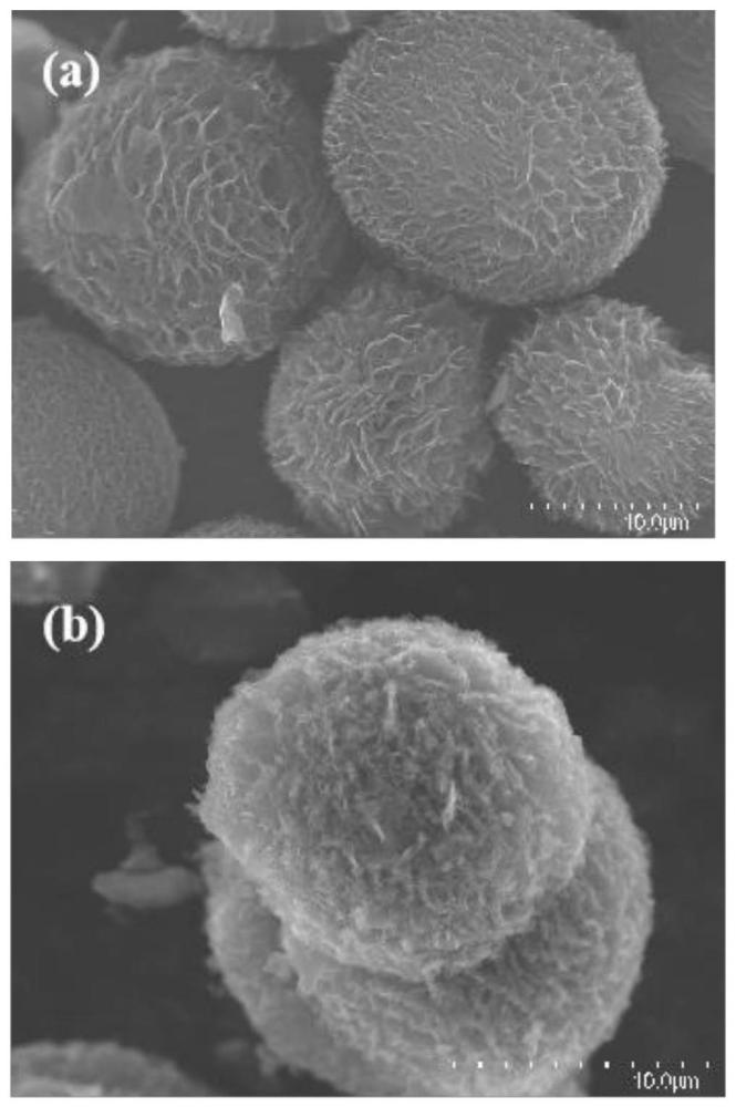 一种规整球形花状多孔碳材料及其制备方法和应用