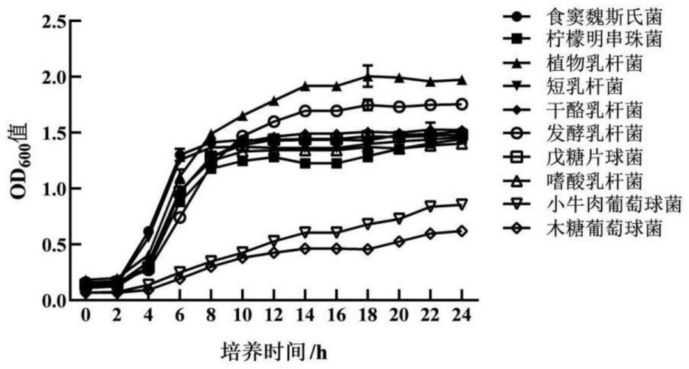 一种发酵牛肉干及其制备方法