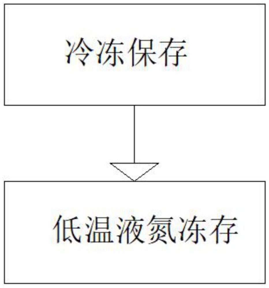 一种牙周膜干细胞保存液及保存方法与流程