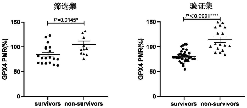 GPX4作为生物标志物在乙肝相关慢加急性肝衰竭预后中的应用