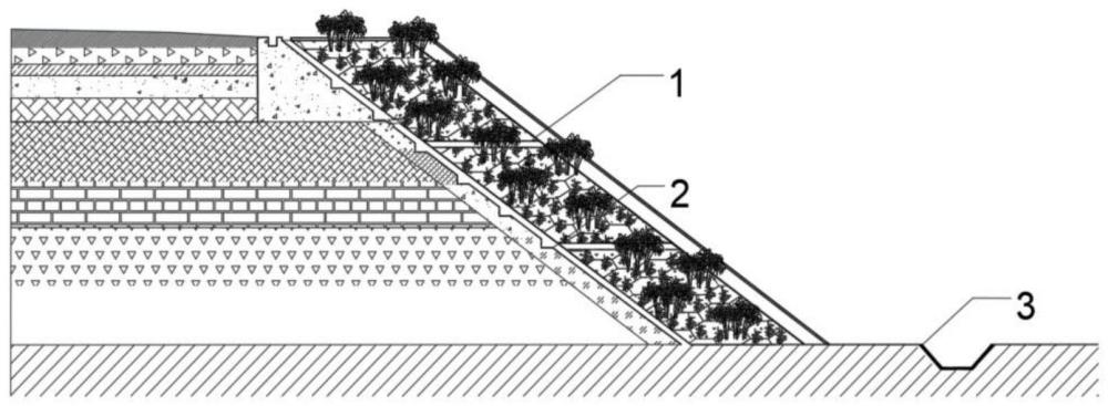 基于灌草结合的裂隙性土质边坡浅层稳定性植物生态控制结构及方法