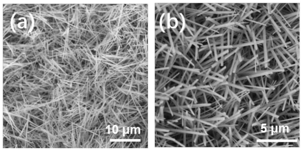 一种海藻状Co-MOF/氢氧化铜/泡沫铜自支撑电极及其制备方法与应用