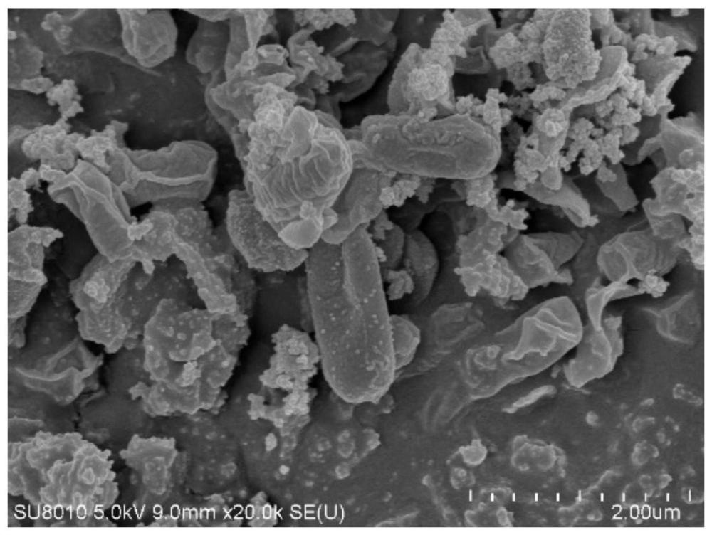 一种抑制煤矸石酸化的杀菌剂与还原菌耦合修复材料及其应用