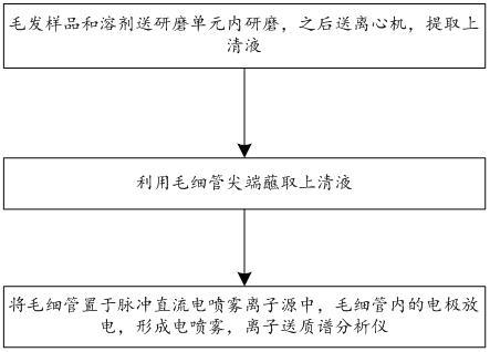 毛发中毒品及其代谢物的检测方法与流程