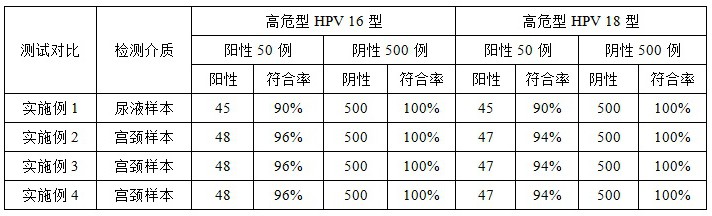 一种高危型HPV检测试剂盒及其制备方法与流程