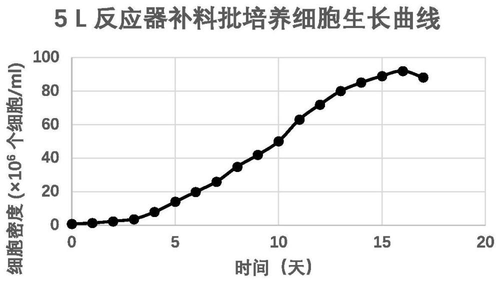 用于鸡胚成纤维细胞高密度培养的补料培养基及高密度培养鸡胚成纤维细胞的方法与流程