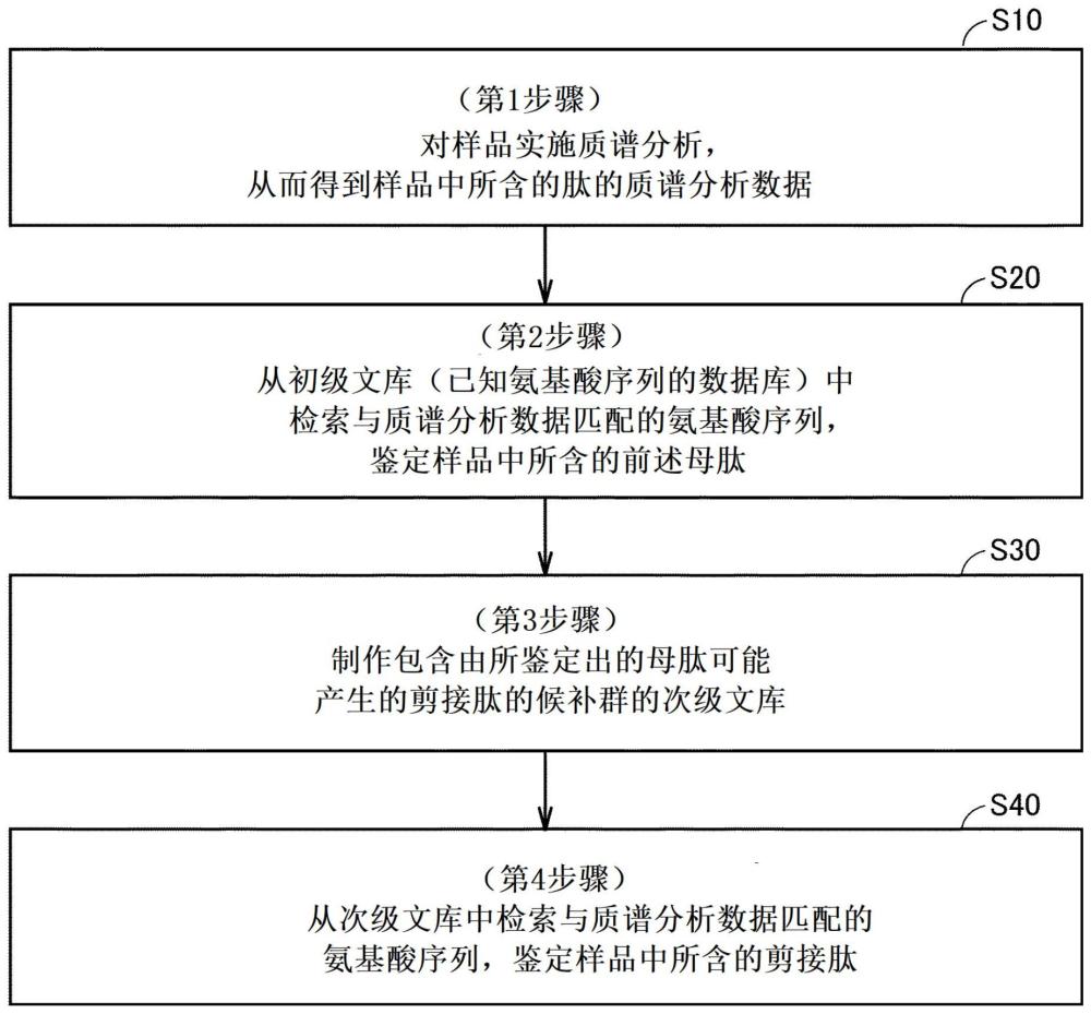 剪接肽的鉴定方法与流程