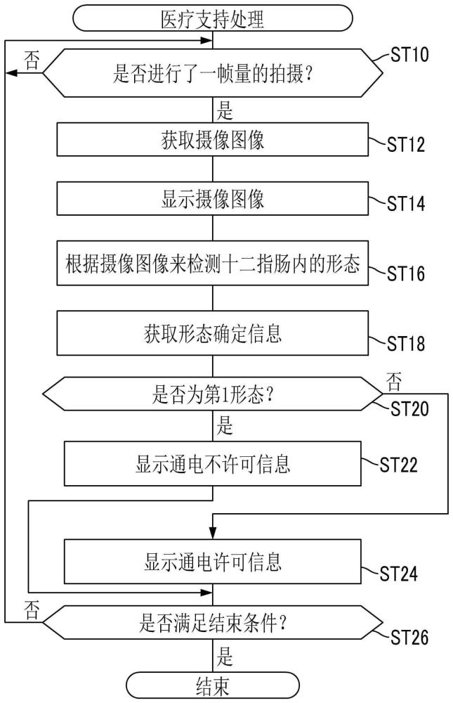 医疗支持装置、内窥镜、医疗支持方法及存储介质与流程