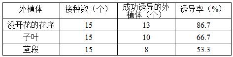 一种杂花二色补血草组织培养方法与流程