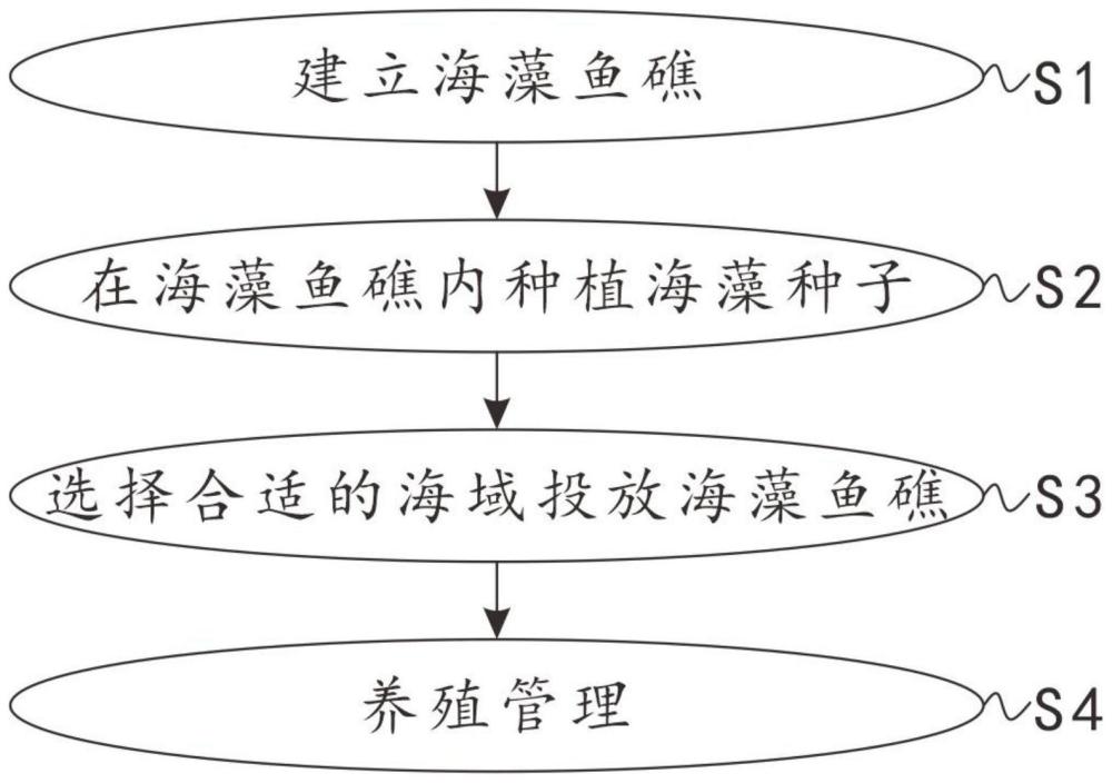 一种新型生态海藻鱼礁生态养殖方法与流程