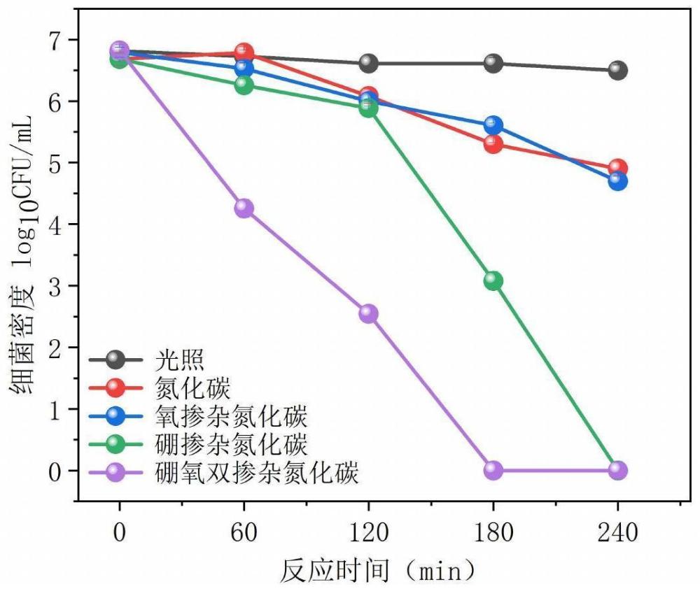 一种硼氧双掺杂石墨相氮化碳纳米片的合成方法及其杀灭耐药菌的应用