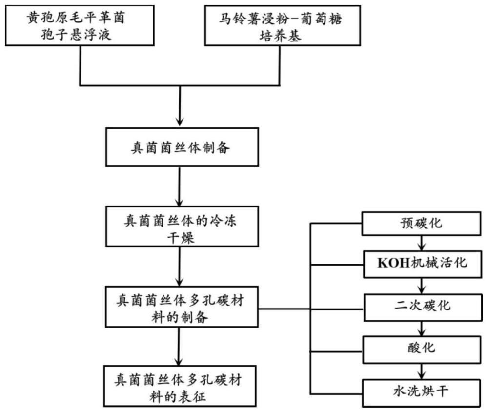 一种利用黄孢原毛平革菌菌丝体制备多孔碳材料的方法