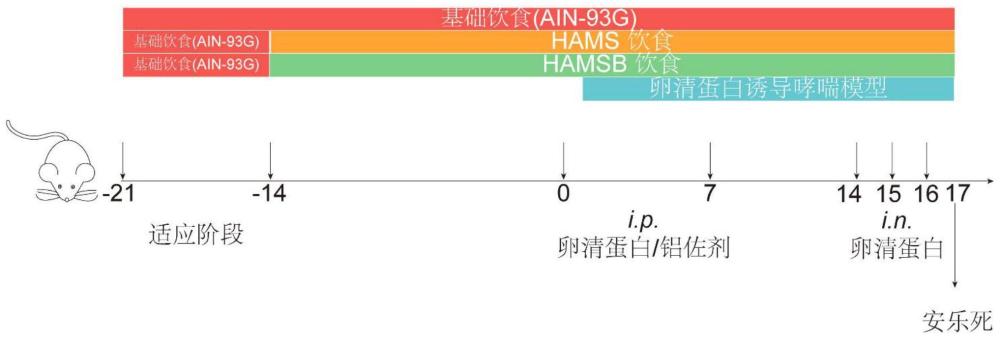 一种丁酰化淀粉及其制备方法和在制备治疗哮喘药物中的应用