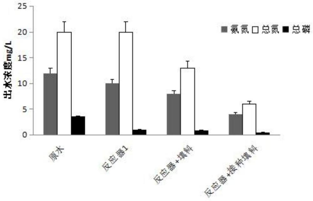 一种处理富营养化养殖废水及资源化的方法