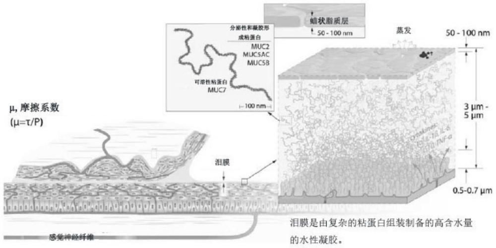 超高分子量聚合物及其使用方法