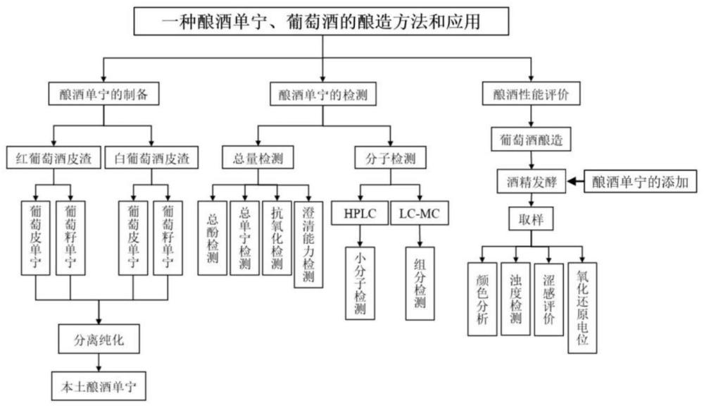 一种酿酒单宁、葡萄酒的酿造方法和应用