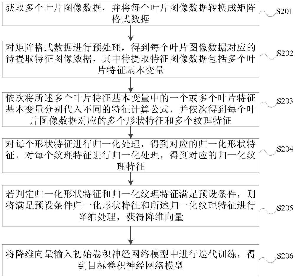 叶片识别模型训练方法、叶片识别方法及训练装置与流程