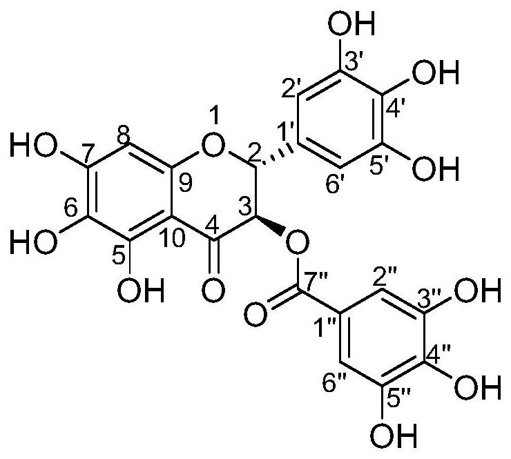 一种新化合物莓茶素乙及其制备方法与应用