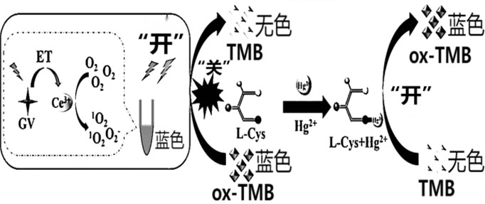 核酸染料光氧化TMB电化学可视化传感器及制备方法和应用