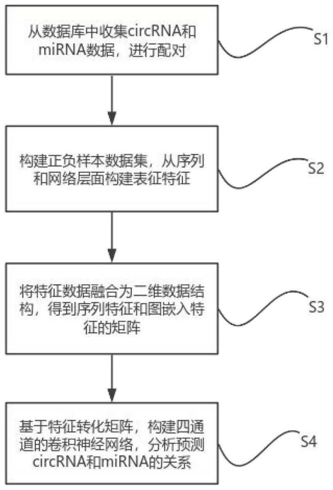 一种多视图的circRNA与miRNA关系预测方法及系统