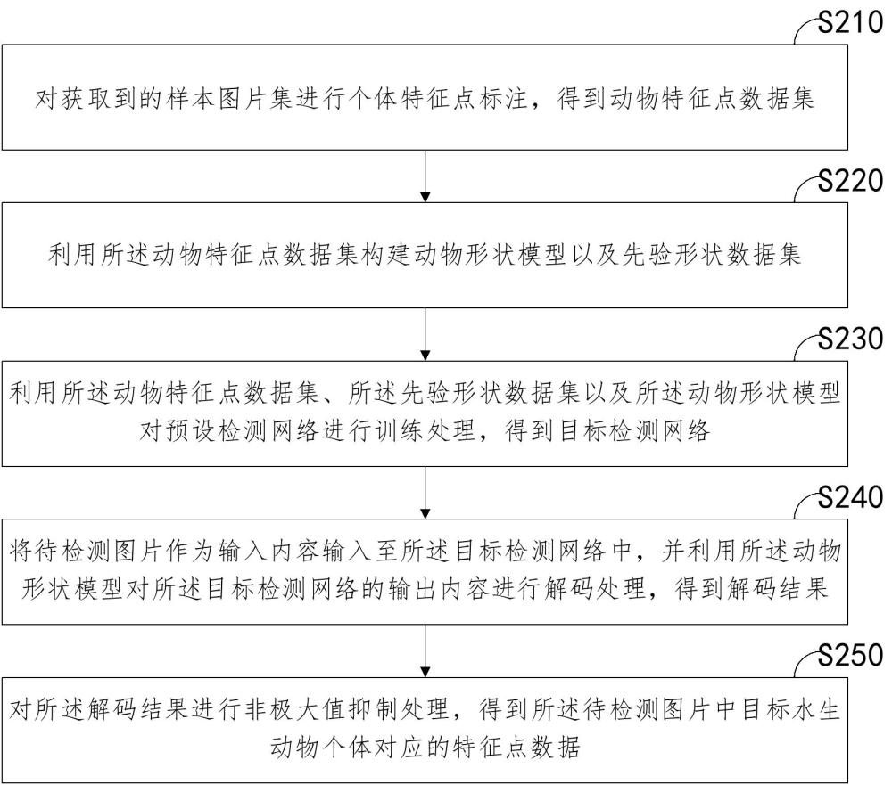 水生动物特征点检测方法、系统、计算机设备和存储介质与流程