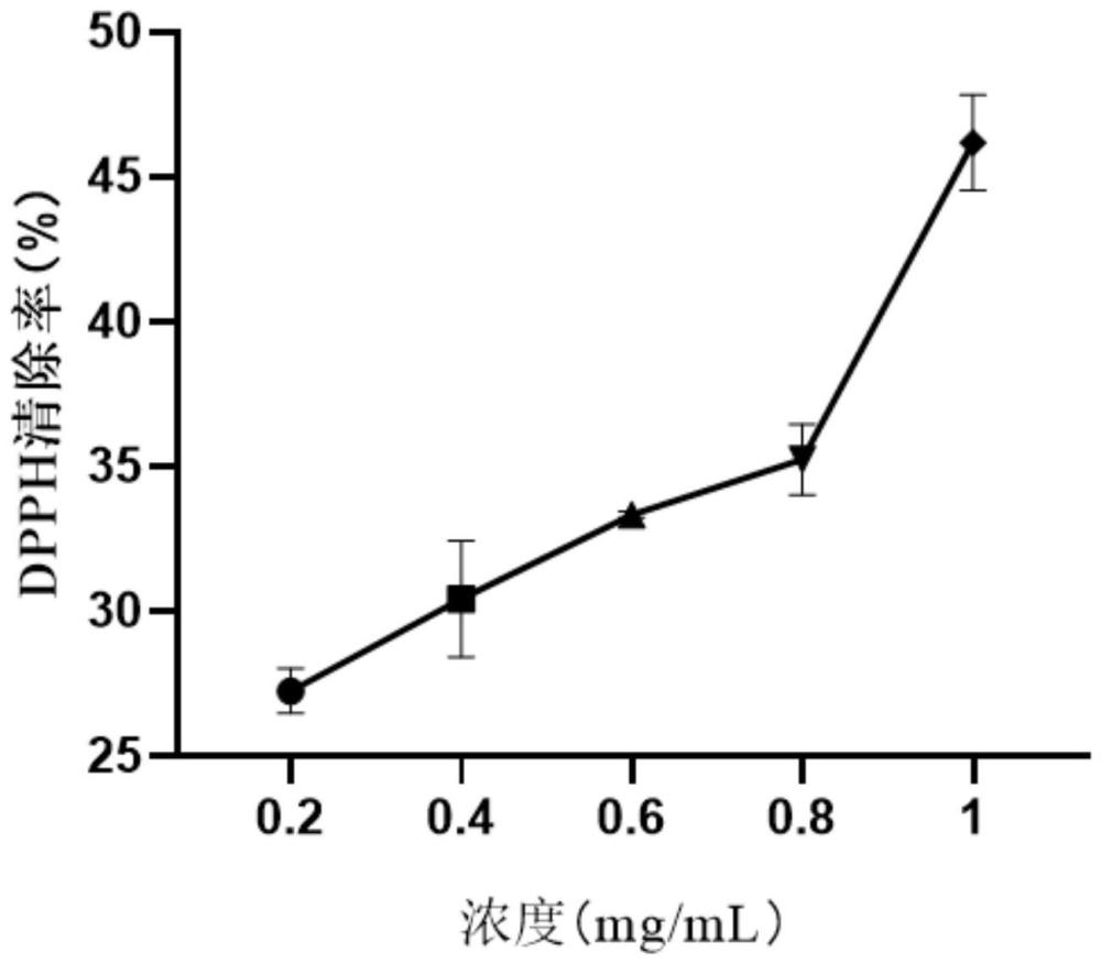 一种用于腌制蔬菜的黄精茎叶发酵液、芥菜腌制品及其制备方法