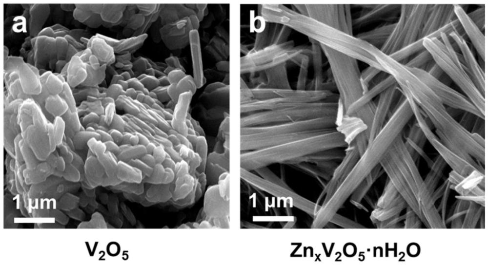 一种制备纤维状锌离子预插层水合五氧化二钒的方法及其在锌离子电池中的应用
